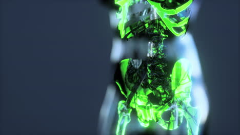 concepto de las articulaciones humanas con la anatomía del esqueleto del cuerpo