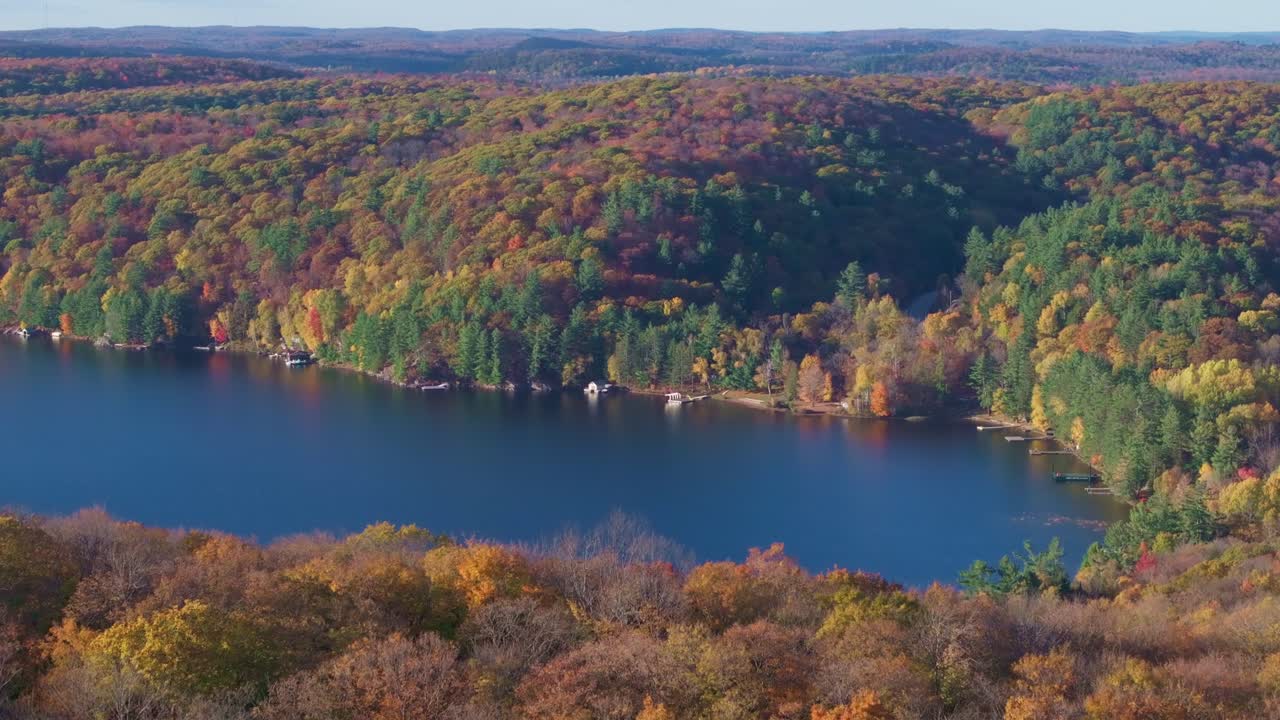 Colorful autumn trees stretch across rolling hills in Muskoka, shot from an aerial view