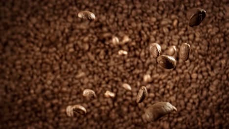 close up of seeds of coffee. fragrant coffee beans super macro close up. shot on super slow motion camera 1000 fps.