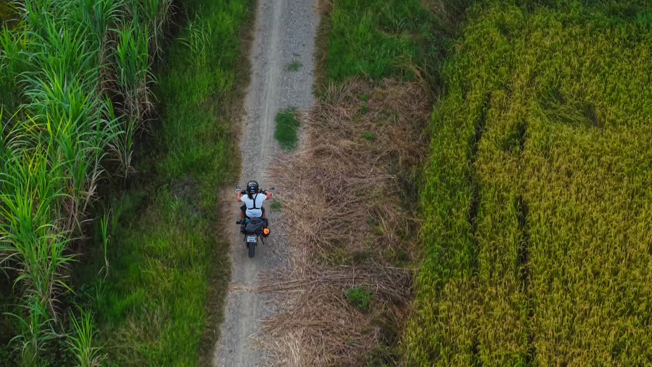 Motorcycle Rider on Country Road Through Rice Paddy Fields
