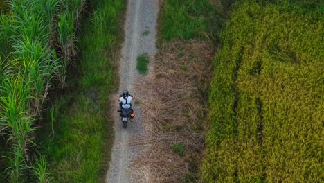 motorcycle rider on country road through rice paddy fields