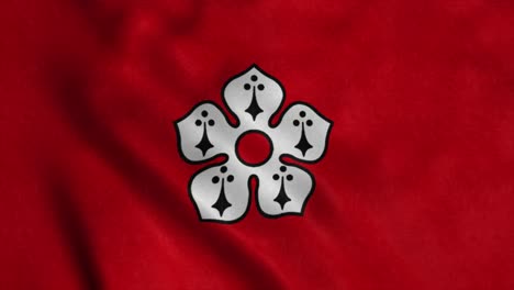 레이스터 발 (leicester flag) - 영국 리치스터의 발, 바람에 흔들리는 발.