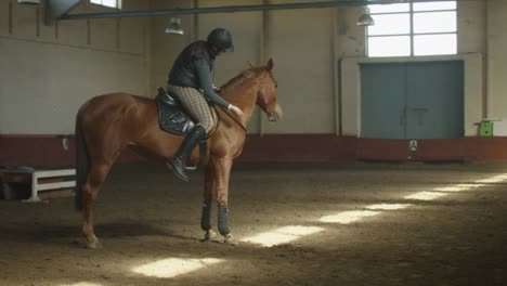 young jockey girl is riding a brown horse.