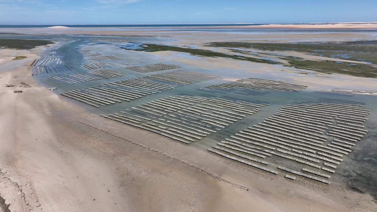 Drone aerial view of marine shellfish aquaculture farms in Dakhla, showcasing organized cultivation structures within the coastal waters of Morocco's Atlantic shoreline and its growing blue economy.