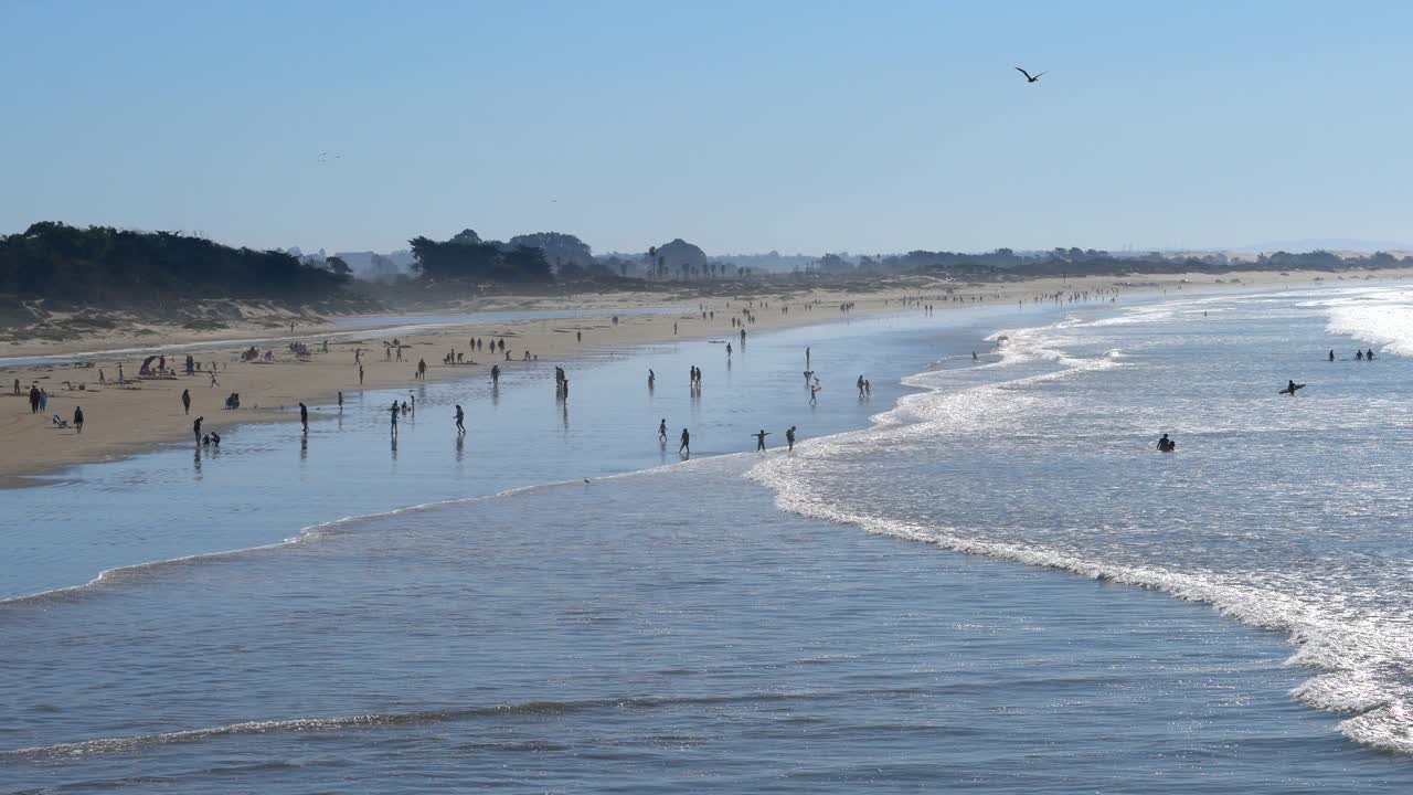 Crowded Beach on a Sunny Day