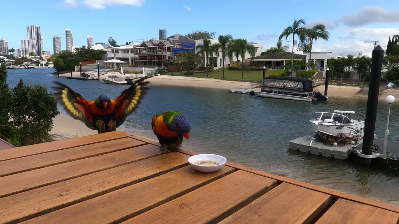 el barco navega por el río en medio del paisaje urbano y la vida silvestre.
