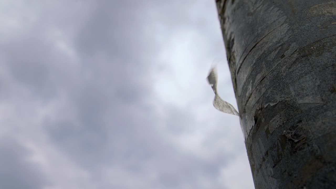 Clear tape on a pole