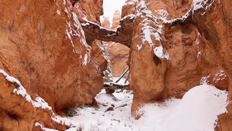 a breathtaking view of a red rock canyon blanketed in soft white snow showcasing untouched winter a breathtaking view of a red rock canyon blanketed in soft white snow showcasing untouched winter beauty