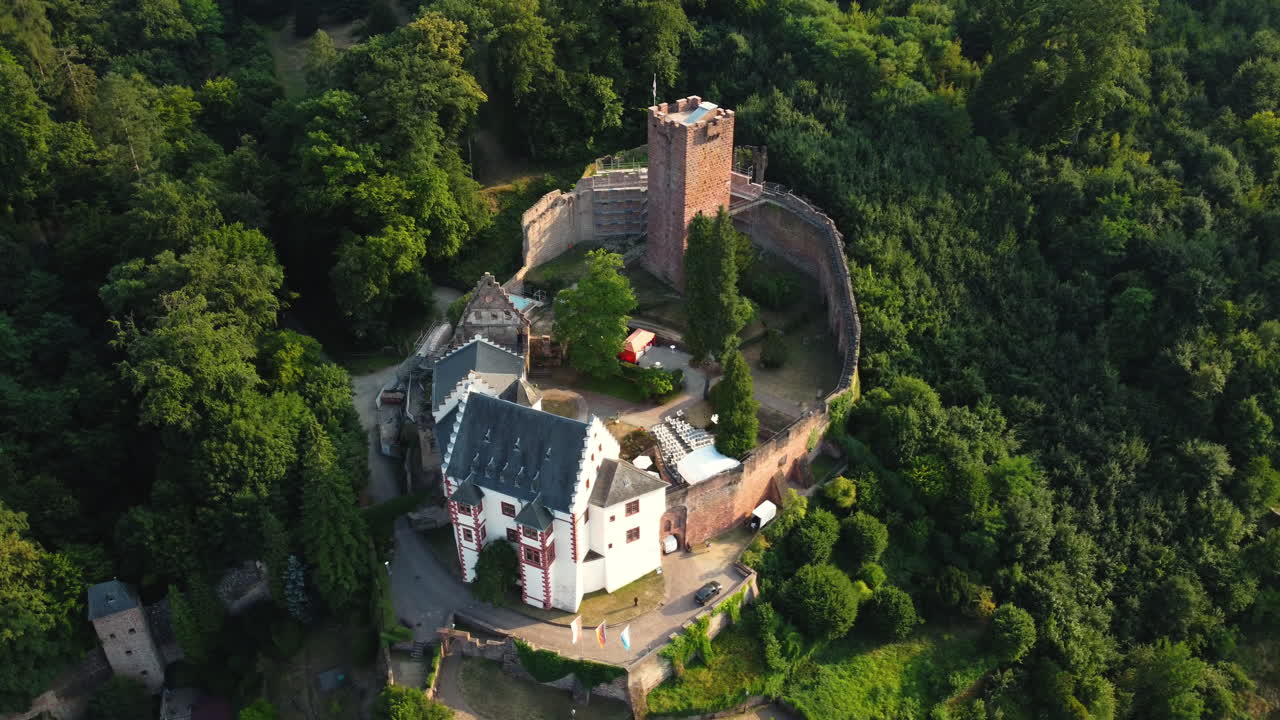 Aerial View of a Historic Castle Surrounded by Forest