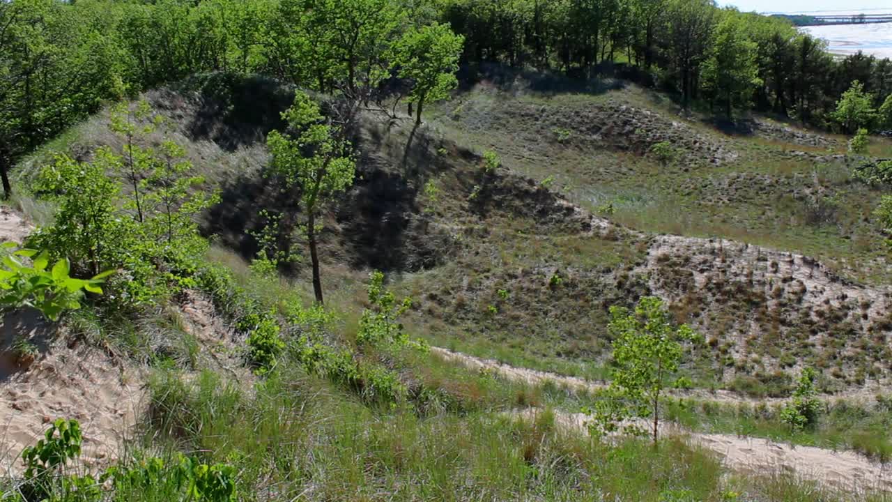Indiana Dunes' majestic sand dunes with rich greenery, under bright, clear skies. Sunlit landscape captures natural beauty and dynamic contours of the terrain