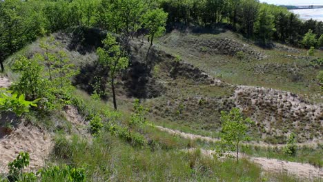 Indiana Dunes&#039; majestic sand dunes with rich greenery, under bright, clear skies. Sunlit landscape captures natural beauty and dynamic contours of the terrain