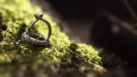 wedding rings on moss
