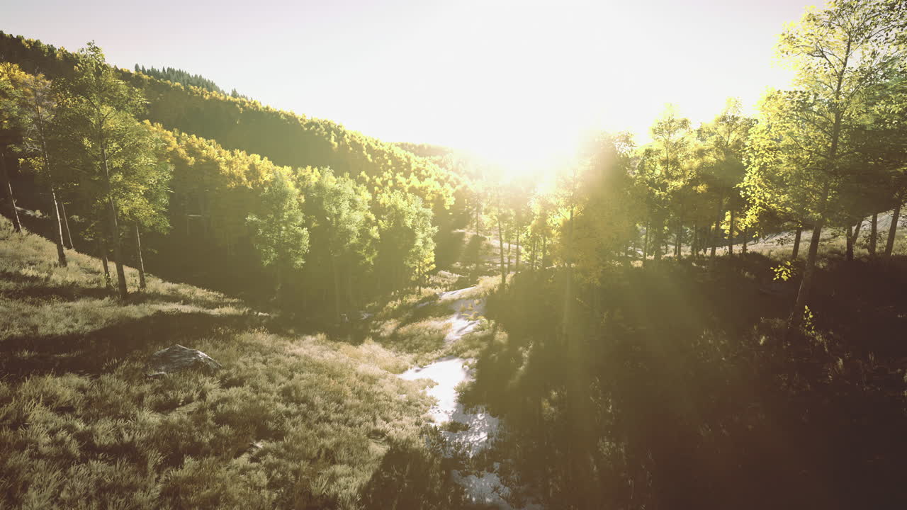 Sunrise over a serene forest valley with lush greenery