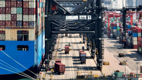 container trucks waiting under the deep sea cranes to be handled by the spreader to load the container on the vessel in hong kong