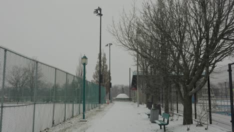 Sendero-Del-Parque-De-Invierno-De-Nieve-Con-Banco-Vacío-Y-árboles-Sin-Hojas