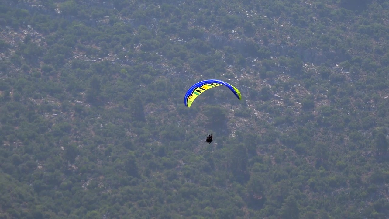 Parapente planant au-dessus d'une pente de montagne verdoyante