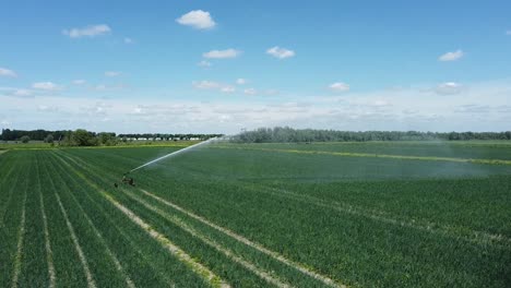 Fliegen-Sie-Seitlich-An-Einem-Bewässerungsregner-Oder-Sektorregner-Vorbei,-Der-Die-Feldfrüchte-Besprüht