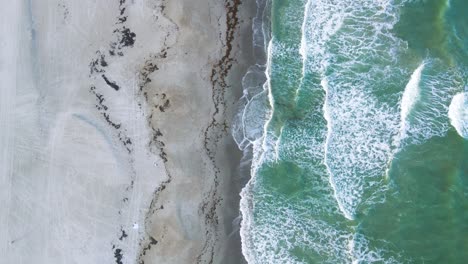 Tropical-Sandy-Beach-in-Florida,-Aerial-Top-Vertical-Footage