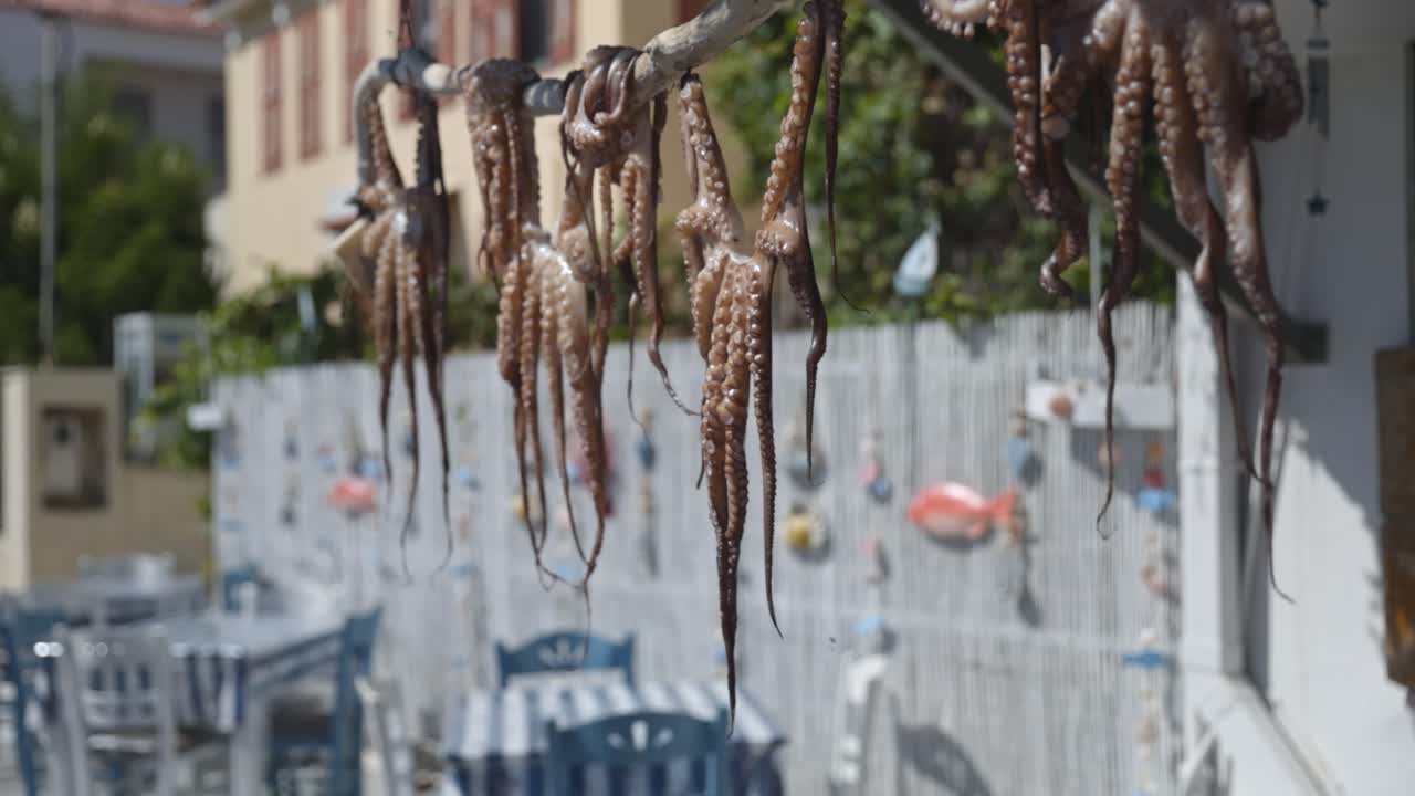 Freshly caught octopuses drying under the sun at a traditional Greek taverna.
