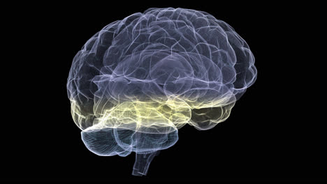 futuristic holographic x-ray tomography scanning patient's brain for health evaluation simulation medical examination, and assessment in full rotation loop with alpha channel - medical concept