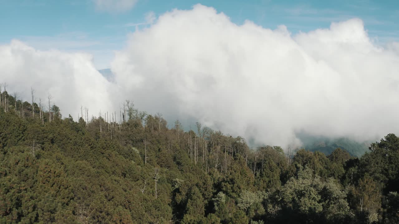 vista aérea de drones volando sobre bosque verde, nubes ventosas en el volcán acatenango, guatemala
