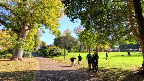 people walking and relaxing in a park