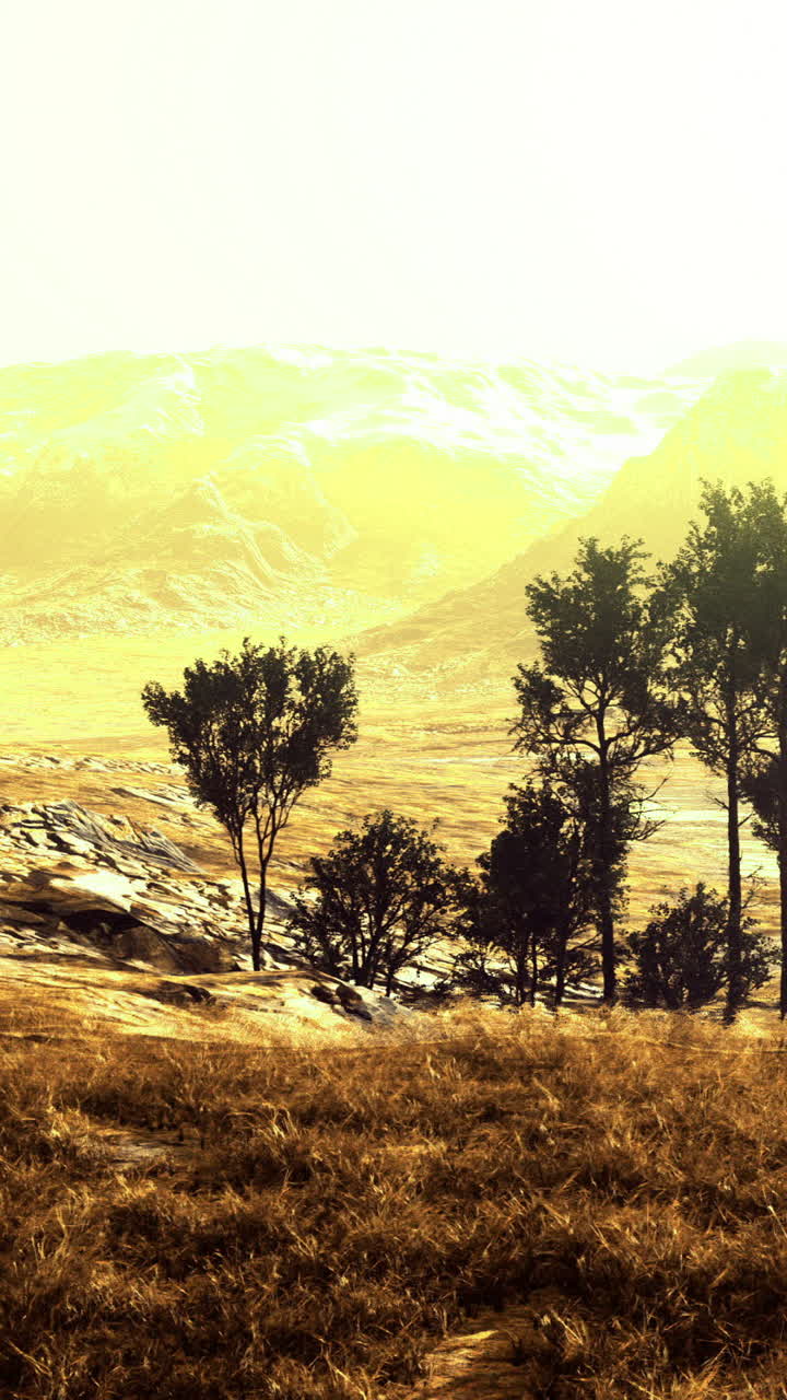Golden landscape with trees under bright sunlight in a serene setting