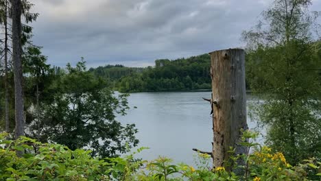 Bosque-En-La-Orilla-De-Un-Gran-Lago-Aggertalsperre-Movimiento-De-Nubes-Cielo-Nublado