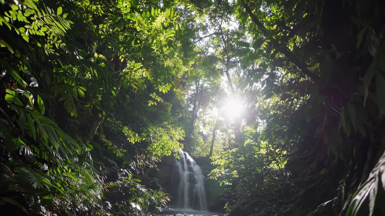 La pittoresca cascata nella foresta verde lussureggiante