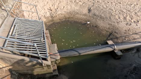agua contaminada que fluye a la playa de arena