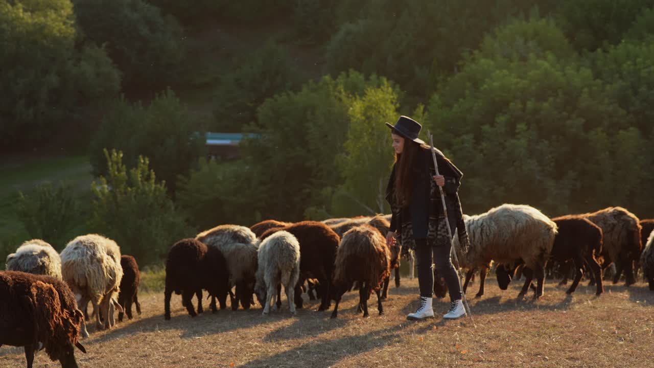 pastor con rebaño de ovejas en el paisaje montañoso al atardecer