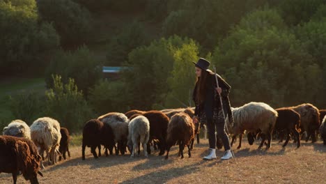 shepherd with flock of sheep in mountain landscape at sunset