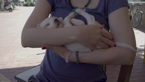 una hermosa mujer sosteniendo y acariciando a un cachorro marrón con amor