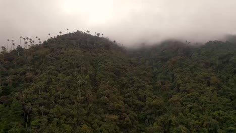 Espectacular-Montaña-Tropical-Espeluznante-Cubierta-De-Palmeras