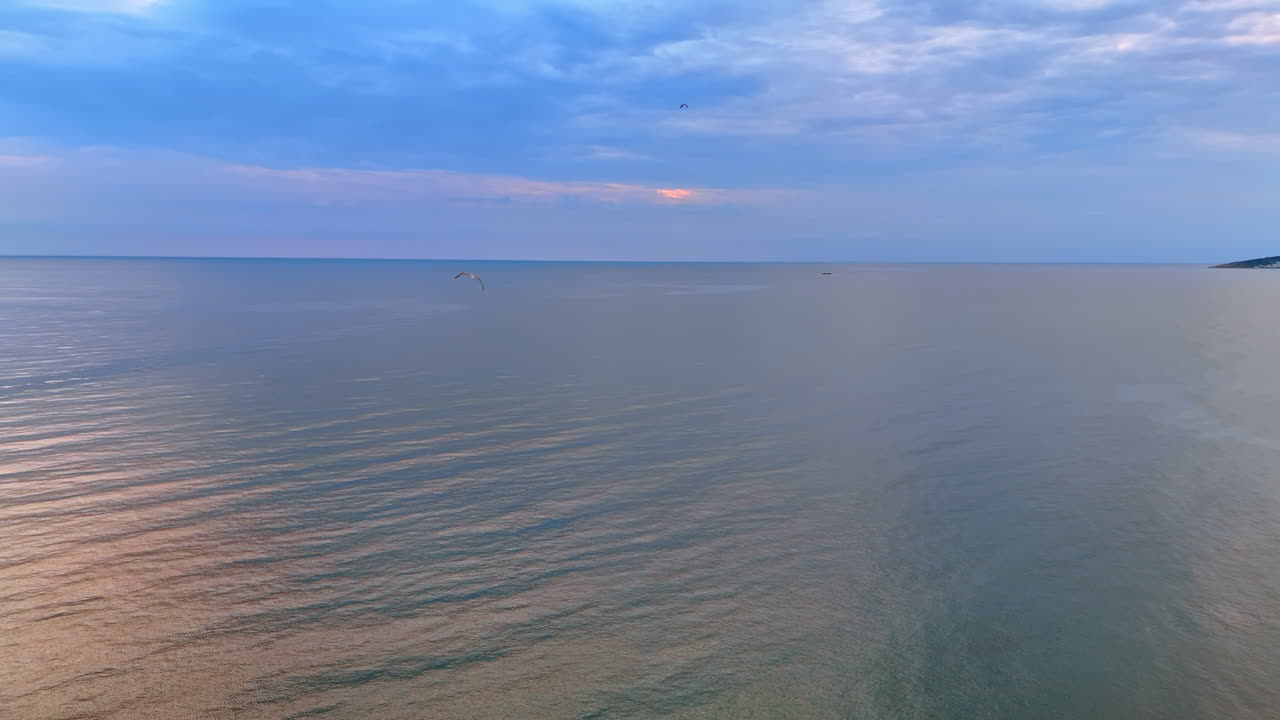 Following a seagull flying over the vast beautiful waterscape of the Adriatic Sea at sunset. Drone footage at the shore with sandy beach in Montenegro