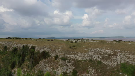 lenta toma aérea que se eleva sobre un acantilado, revelando el paisaje de la costa detrás, un día soleado y brillante