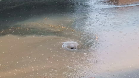rainwater vortex swirling in large puddle on street during summer rainfall