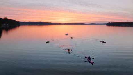 group kayaking on calm water at sunset