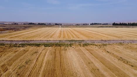 Imágenes-De-Drones-De-Campos-De-Trigo-Cosechados-En-Verano