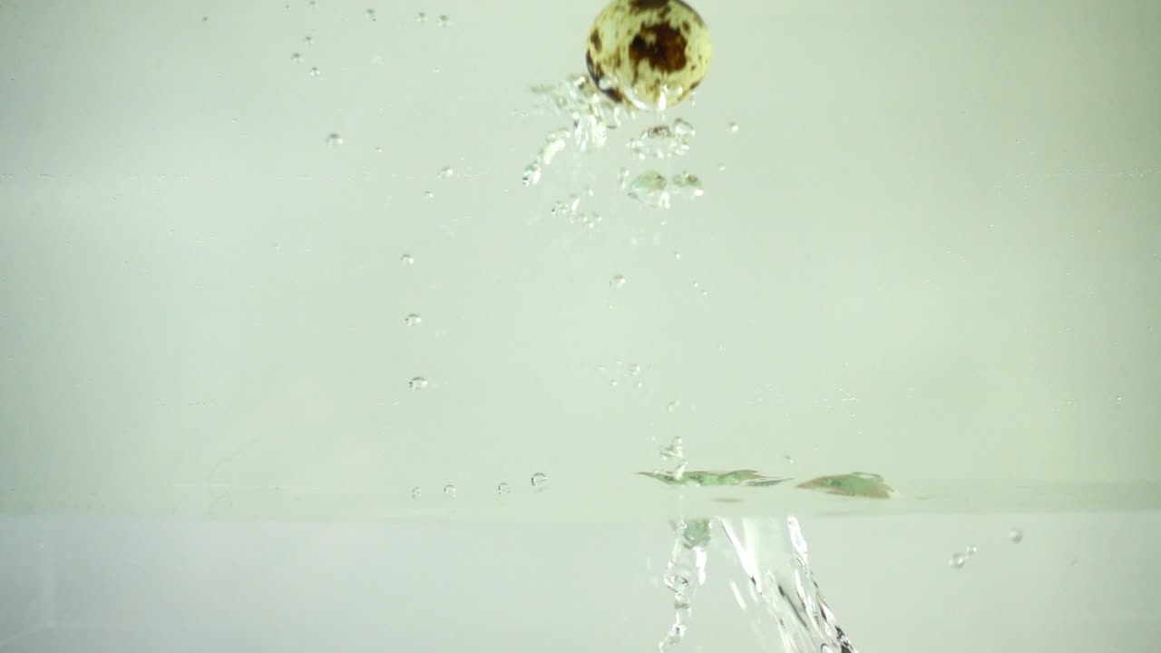 Quail eggs in water. Slow motion