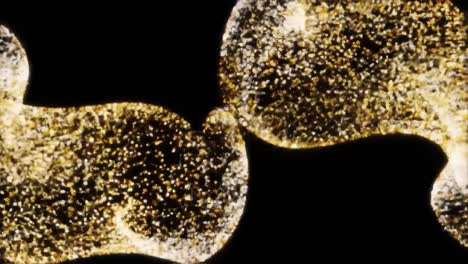 golden particles flowing