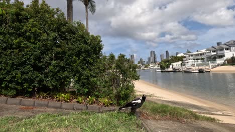 a bird flies off from a riverside setting.