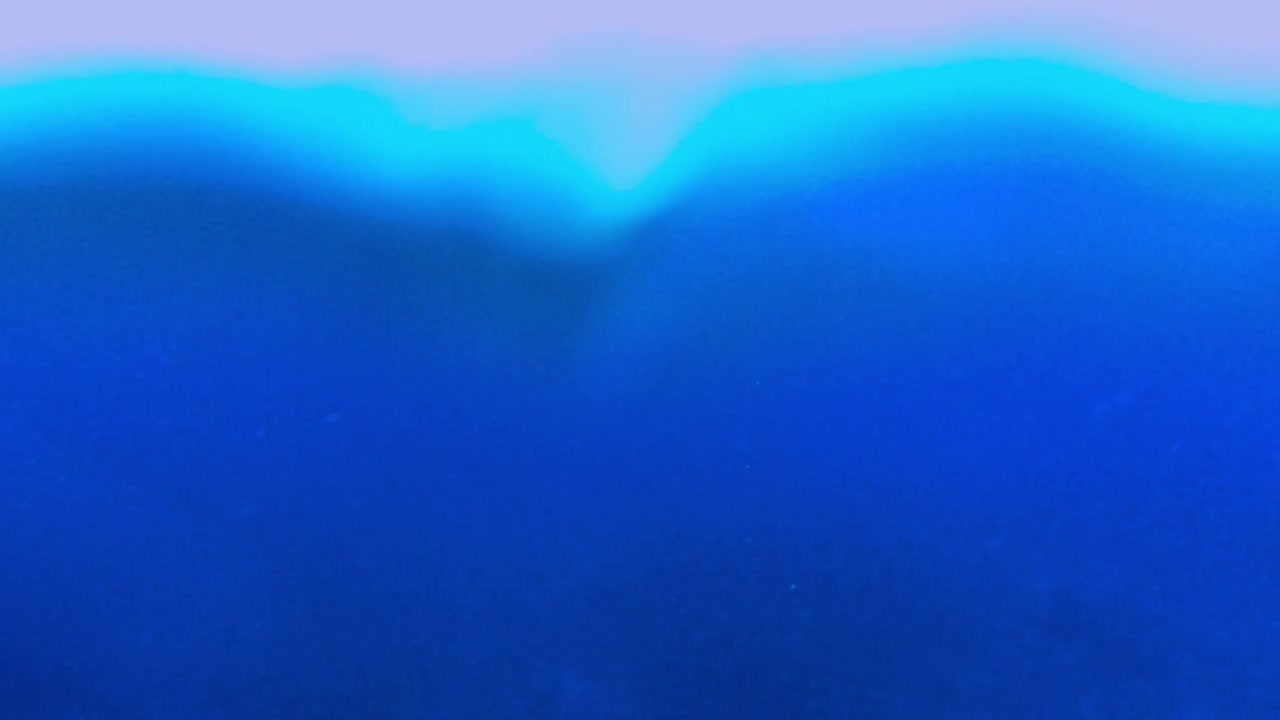 표면으로 수영하는 대모 바다 거북의 수중보기를 닫습니다.