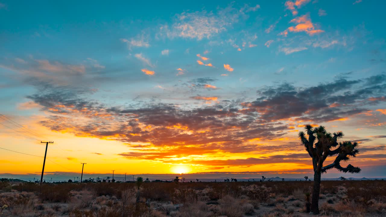 amanecer ardiente en el desierto de mojave con árboles de joshua