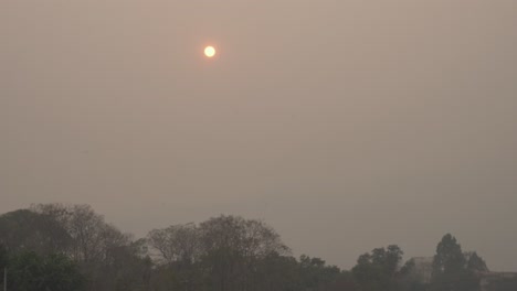 Sol-Brumoso-Sobre-Los-árboles-Visto-A-Través-De-Una-Espesa-Niebla-Y-Humo-Contaminado-En-Chiang-Mai,-Tailandia