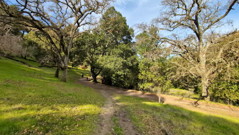 Nature-outdoors,-USA-Castle-Rock-Regional-Recreation-Area-forest-retreat