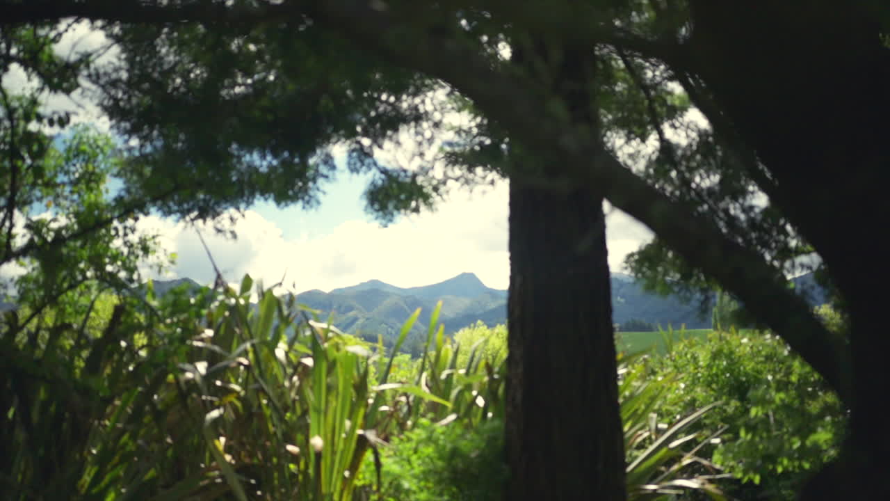 Slow Motion Gimbal Shot Moving Past a Leafy Tree Towards Mountains on the Horizon on a Sunny Day in New Zealand