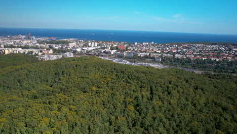 Aéreo---Paisaje-Urbano---Bosque-En-Medio-De-La-Ciudad---Vista-Del-Centro-De-Gdynia-Desde-El-Lado-De-Witomino---Al-Fondo-La-Torre-Del-Mar-Y-La-Bahía-De-Gdansk---Barcos-Esperando-Para-Entrar-Al-Puerto