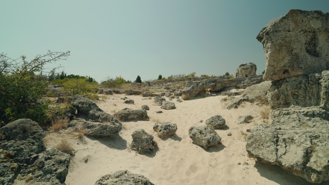 Sandstone Formations in a Stone Forest