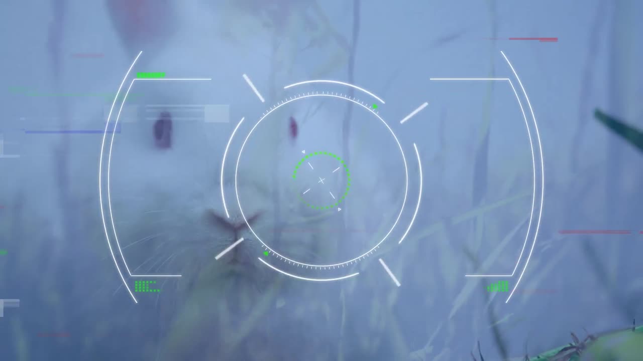 анимация видоискателя над кроликом на лугу